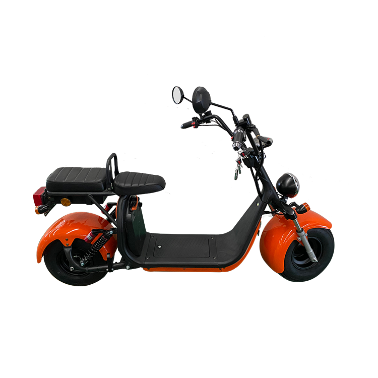 EVERUN Electric Scooter EREV1.0
