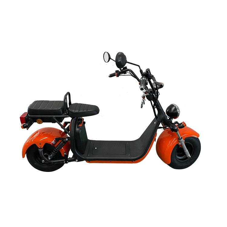 EVERUN Electric Scooter EREV1.0